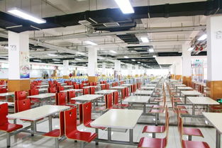 筑牢校園食安防線 打造健康成長(zhǎng)環(huán)境——保定市省級(jí)校園食品安全標(biāo)準(zhǔn)食堂觀摩培訓(xùn)會(huì)在長(zhǎng)城學(xué)校成功舉辦