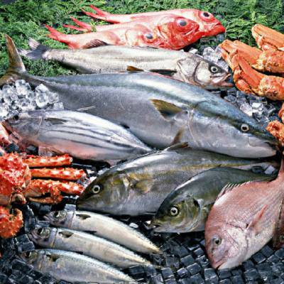 南非冷凍蝦仁進口報關(guān)指南 水產(chǎn)品進口流程解析