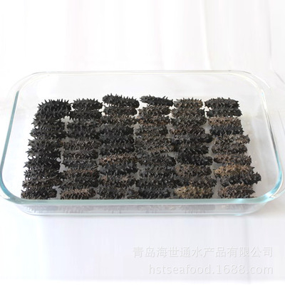 青島廠家特價批發(fā)進口野生純淡干6排刺紅參 高品質(zhì)干制水產(chǎn)品的首選