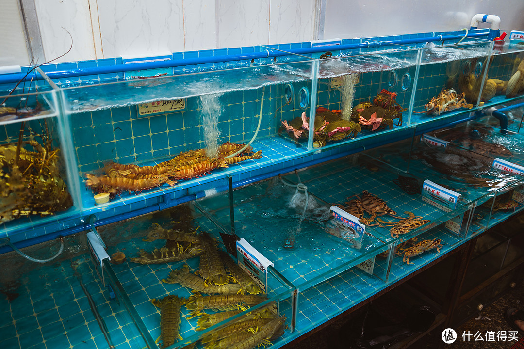 小縣城海鮮生意經(jīng) 機遇、挑戰(zhàn)與成功之道