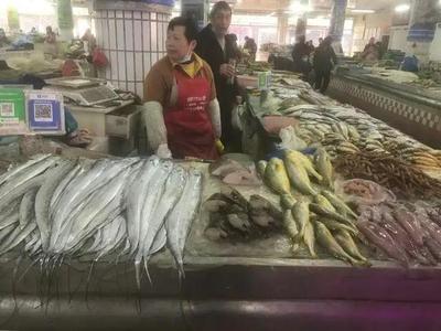 浙江水產(chǎn)市場現(xiàn)“黃金海鮮” 一斤飆至五百元，朋友圈里的價格驚嘆號
