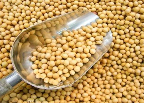 寧波進口食品排行榜揭曉 水產(chǎn)品榮登榜首，吃貨最愛一覽