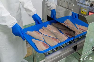 開辟“預(yù)制菜”新賽道，大黃魚游向水產(chǎn)品市場藍海