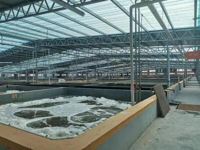 缺蝦百萬噸，產(chǎn)業(yè)迎變革 工廠化養(yǎng)蝦面積將破千萬平米，第二屆中國工廠化養(yǎng)蝦大會8月啟幕